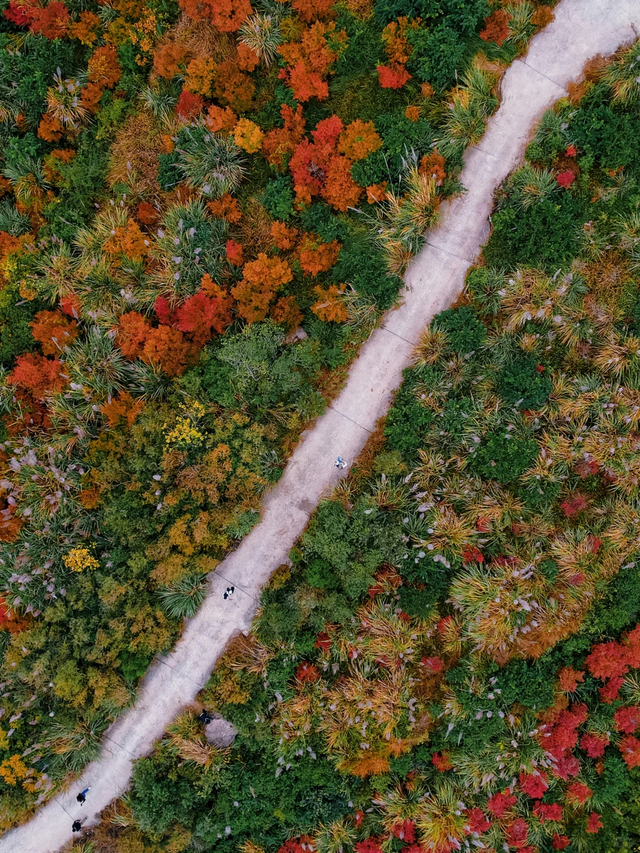 超美超震撼！舍不得公开的徒步秘境N0.1，就在成都金堂！