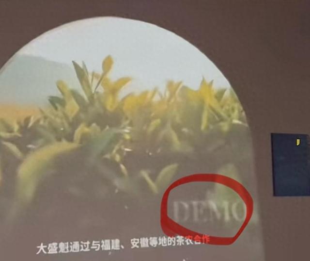 内蒙古一博物馆播放带DEMO水印视频，景区：项目由其他部门负责，不能明确说是否有欠费