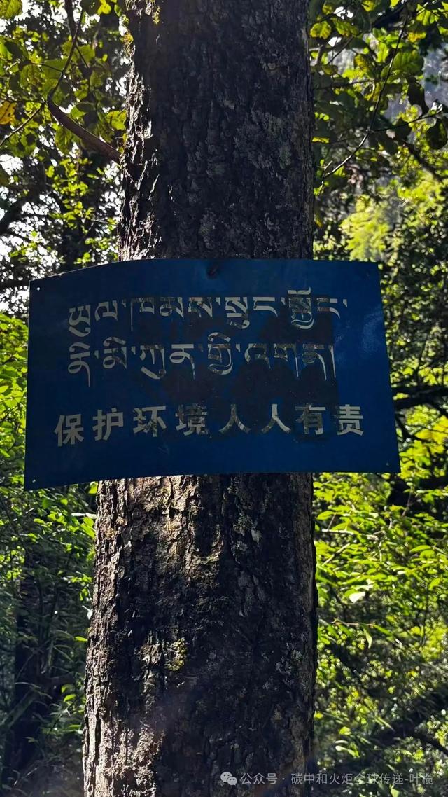 洲长有约:“垃圾洲会客厅”线上举行,关注雪山圣地清洁行动