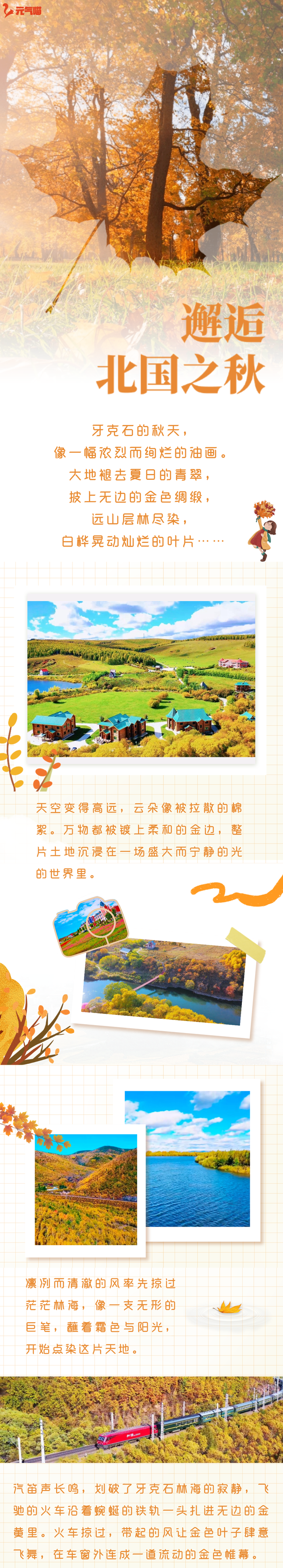 错过了牙克石的秋天，就错过了北疆最酣畅淋漓的色彩盛宴！