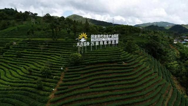 车轮停转，茶香登场！除了骑行，普洱的这些地方你值得去→