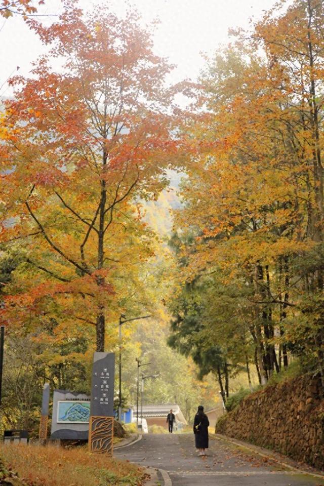 来广元月坝，解锁一场“多巴胺”初冬