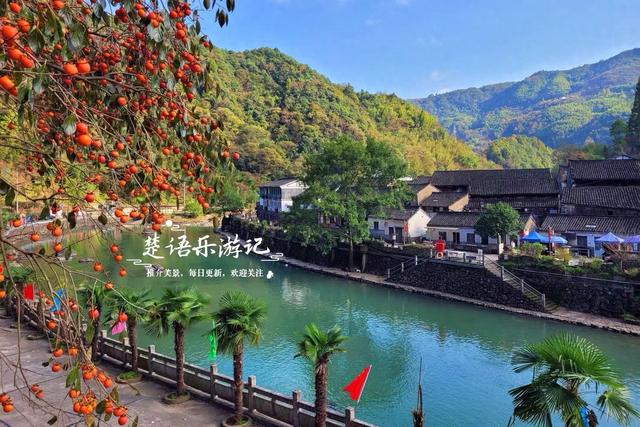 浙江宁波的又一个柿林山村，免费开放但是景色很美，游玩正当时