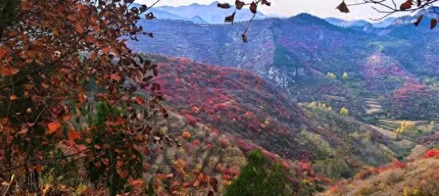 垛庄，乐驰骋：一路欢歌的“乡味乡情”