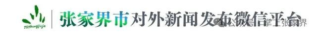 品!张家界“十四五”的标杆力量