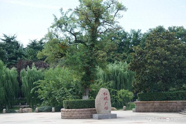 青岛海泊河公园美景