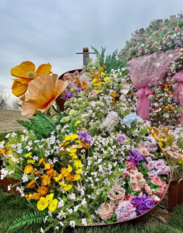 2026北京郁金香文化节4月3日启幕 百万株郁金香竞相开放