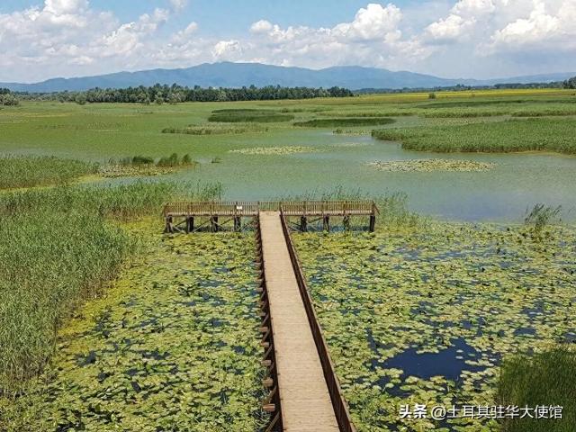 探秘迪兹杰：土耳其西黑海地区的自然与文化瑰宝