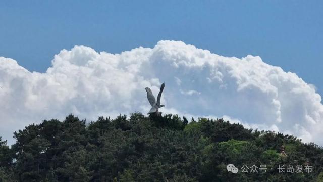 山东长岛挺能藏啊 消夏避暑趁现在 邂逅北纬38°的海上仙境