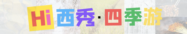 @所有人，“#Hi西秀 四季游”短视频比赛获奖结果公示，快快查收~