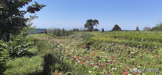 甘山晟境景区魅力花海迎金秋