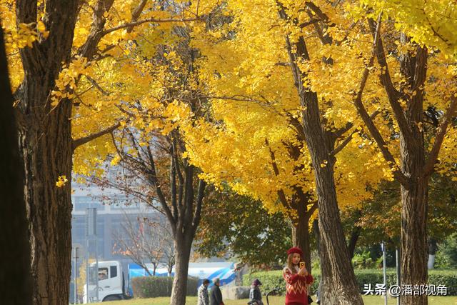 无锡吴都路，金色的世界