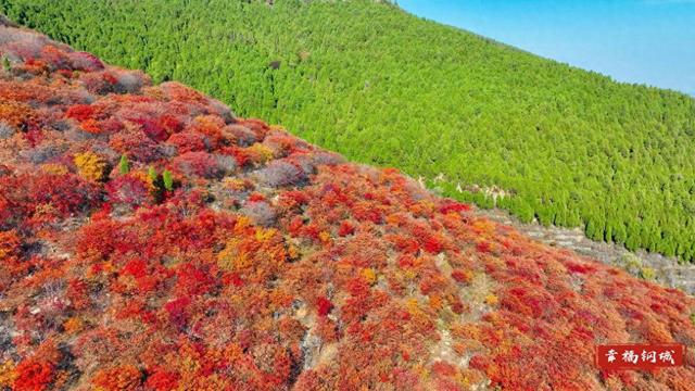 来九龙山，品尝咱钢城深秋的“鸳鸯火锅”