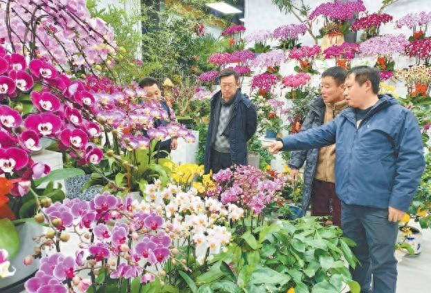 北京花卉网站建设（北京将建设全国花卉消费中心）