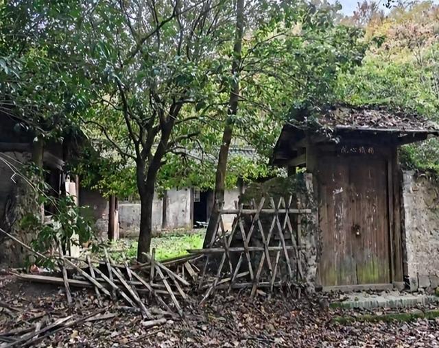 《射雕英雄传》、《笑傲江湖》、《天龙八部》拍摄地，绍兴新昌射雕村荒废了？景区回应
