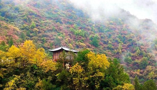 徽县大河店镇：层林尽染处 藏着最治愈的秋日时光