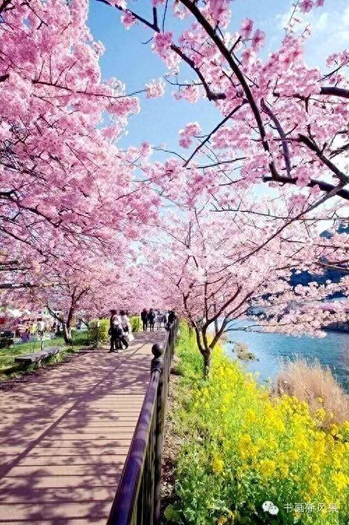 醉是春花烂漫时