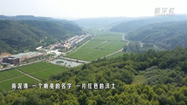 铭记历史 缅怀先烈｜南泥湾精神传承不息