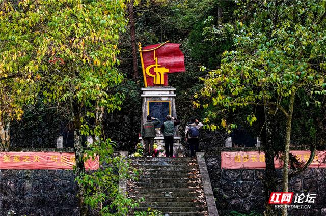 从“十八拐”到齐眉界，一条森林公园里的红色风景线