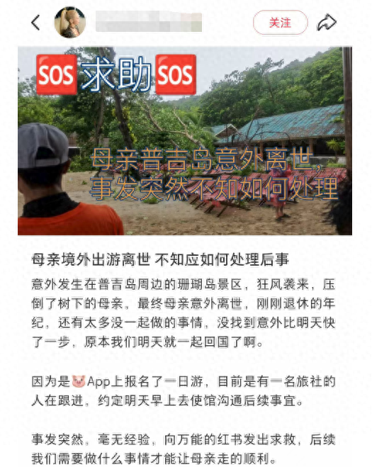 已证实!中国女游客被砸中去世,女儿发声:原计划次日回国,“刚退休的年纪,没想到意外快一步”