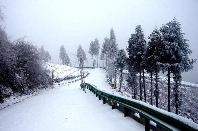 初雪落汉中，万亩茶园美成画！