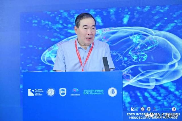 为脑部疾病研究提供“加速度”！国际灵长类介观脑图谱联盟在沪成立 | 浦江创新论坛