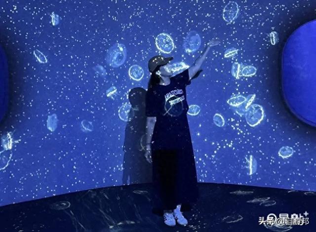台中海洋馆 水母池艺术级水族体验 莲之水槽无敌梦幻