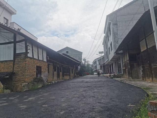 遵义新蒲：三渡有个“杨柳田场”