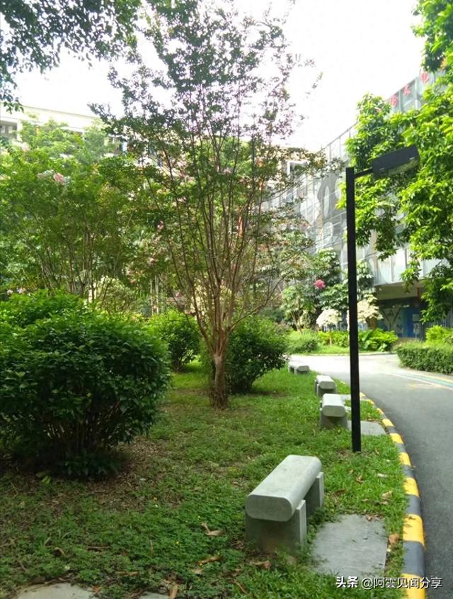 2019年,我来广州最难忘的一年