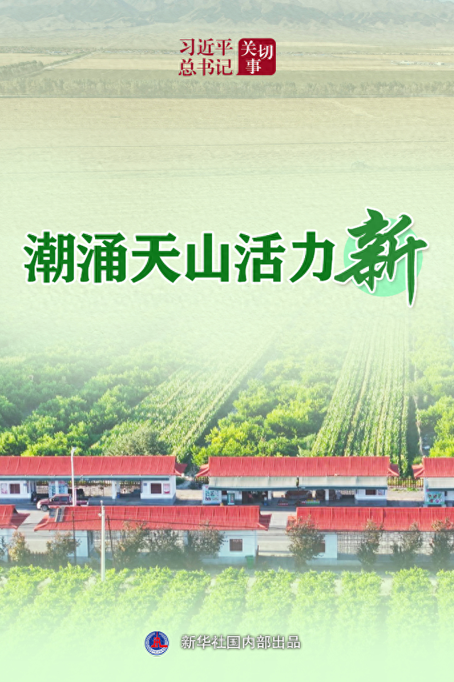 钱盆网是什么平台（习近平总书记关切事丨潮涌天山活力新）