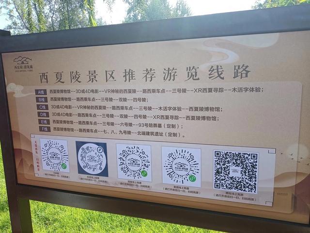 齐鲁人银川行记：探秘西夏王陵，触摸历史的脉搏