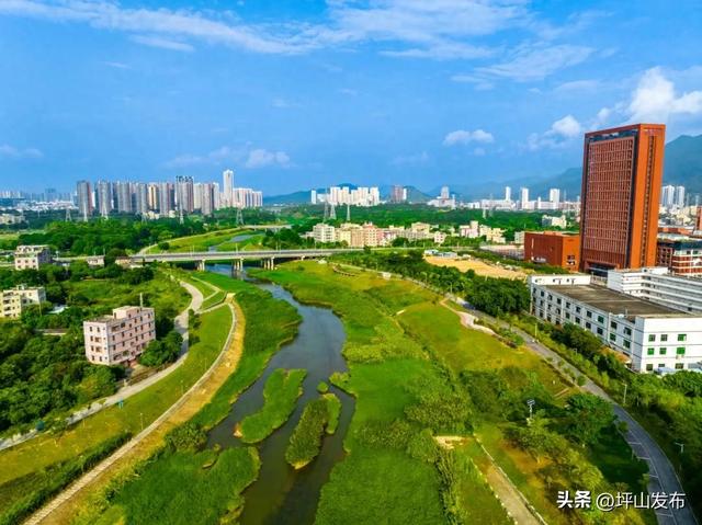 比补贴更诱人，青年人才爱上深圳坪山的新理由