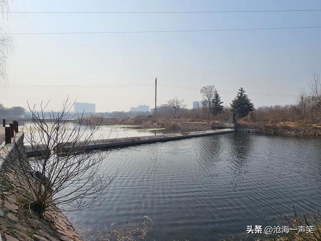 寒风袭袭，看塞上江南，水乡如画，美不胜收，风景秀丽，景色宜人