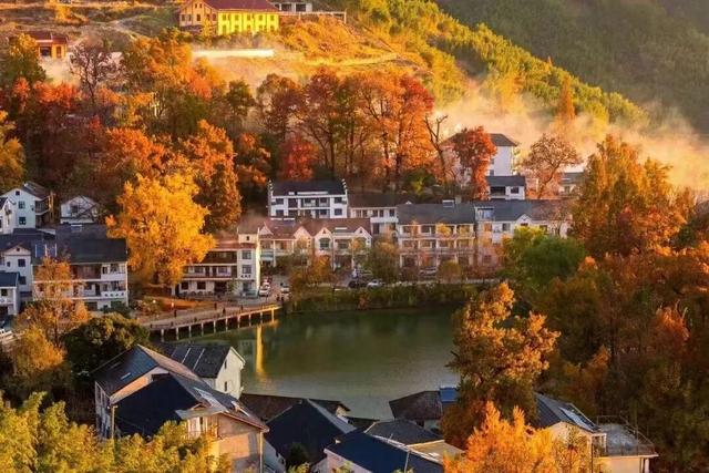 红叶指南：太湖源头的江南秋魂