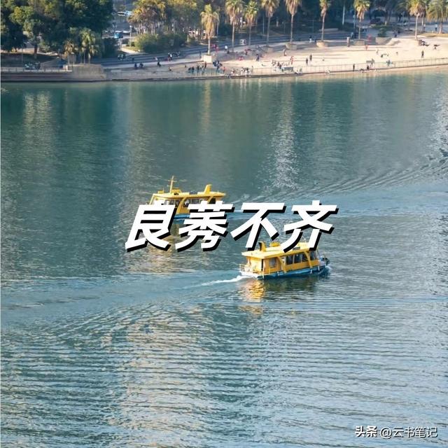良莠不齐怎么读（良莠不齐的莠不读yòu）