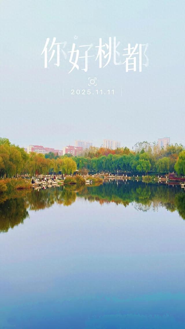 你好，桃都！『2025.11.11』