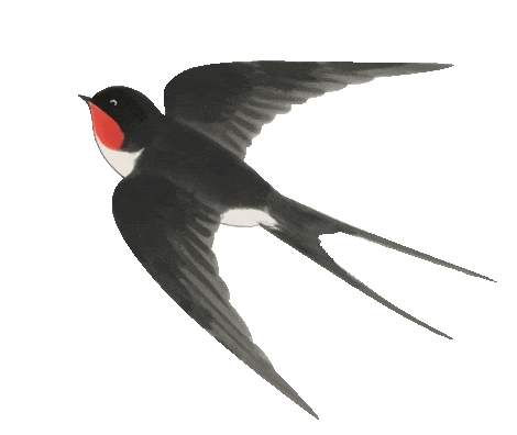 浙江这两条线路入选中国公路学会“2025年度自驾游精品线路”，一起来关注！