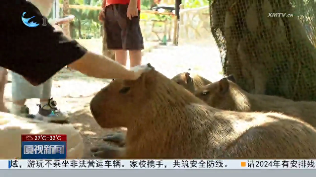 假期亲子时光，厦门景区更新升级丰富游玩体验