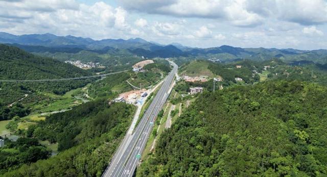 茂名信宜三镇沿云茂高速联动打造40公里绿美长廊