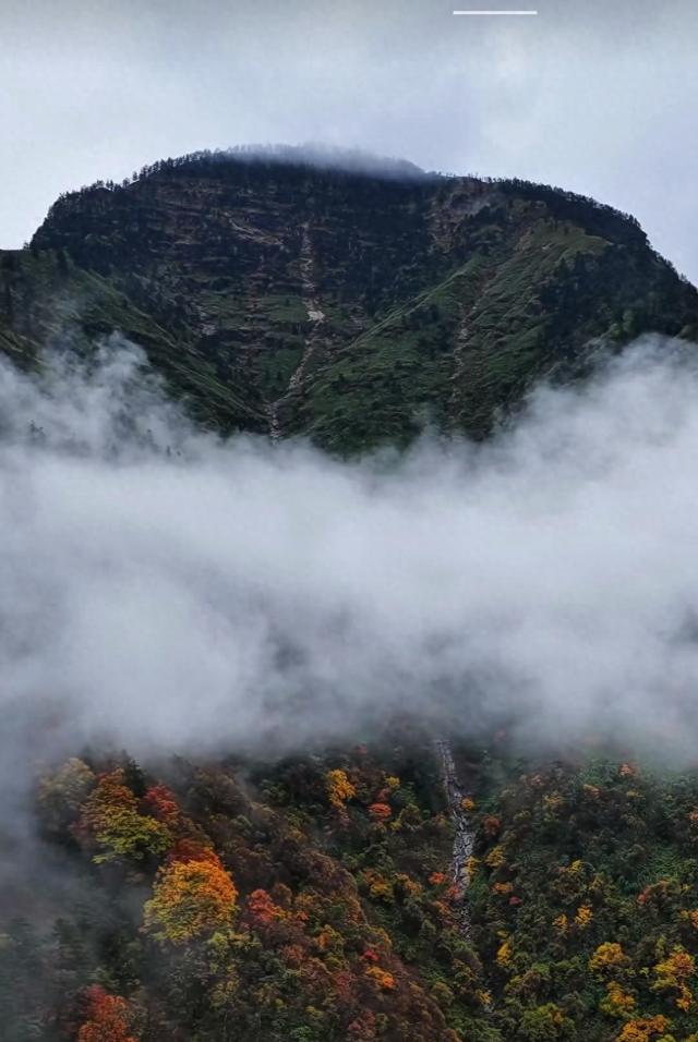雾锁摩天岭：山与云的共生诗