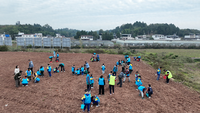 从“景点游”到“全域学” 四川仁寿绘就文旅融合新画卷