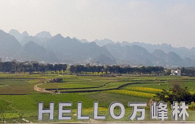 万峰林“咖啡热”催生文旅新体验