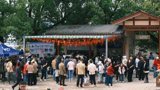 喜迎五一小高峰 | 洈水景区美景如画，人气满满！