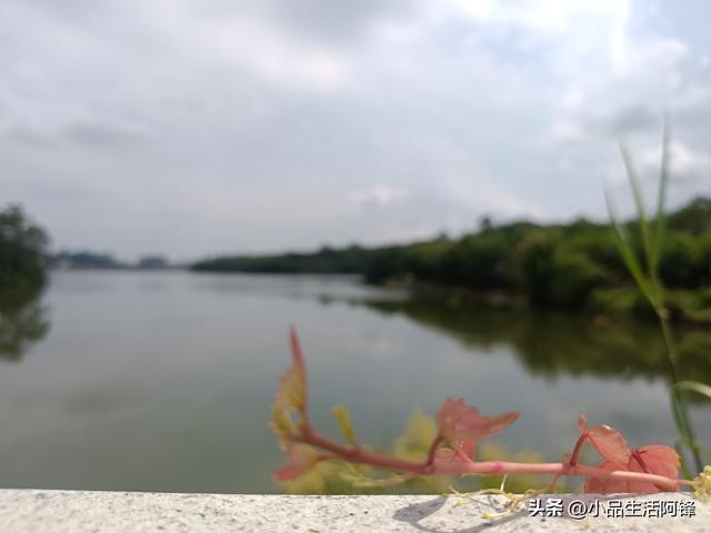 这就是答案——为什么说相见不如怀念