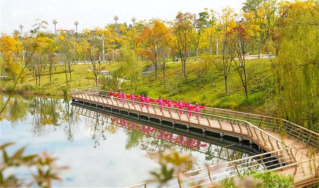 冬日限定浪漫！垫江三合湖层林尽染，治愈感拉满~