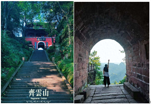 月识植物三百种，不辞长作岭南人：齐云山植物行