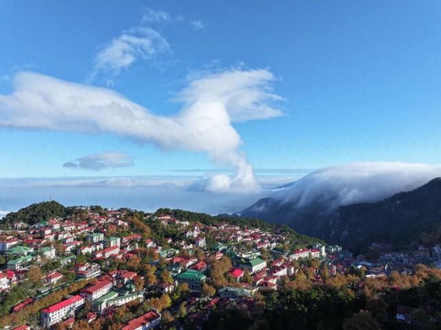 云瀑倾泻梧叶黄：庐山秋景缤纷奇