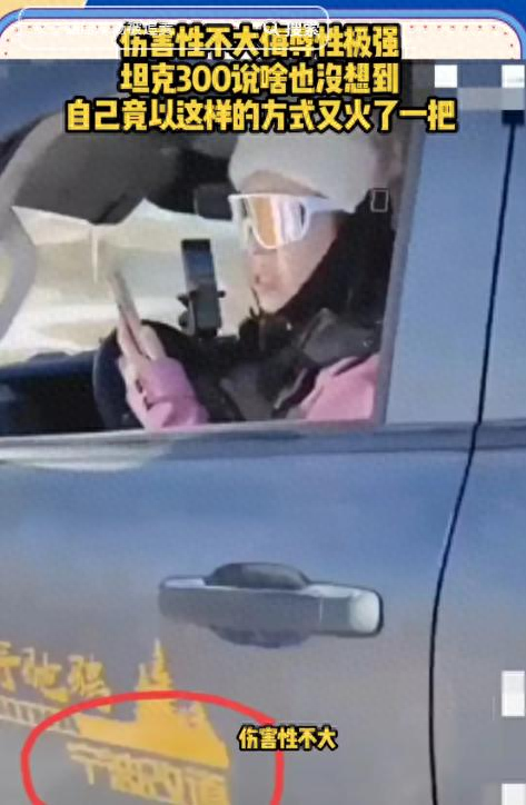 女子开车碾压草场后续：扬言撞死牧民，真实身份被扒	，公司被牵连