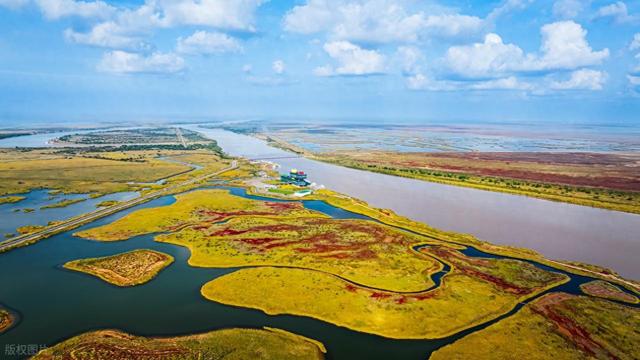 山东最容易被忽略的小城，小众低调的东营，藏着黄河入海的浪漫！