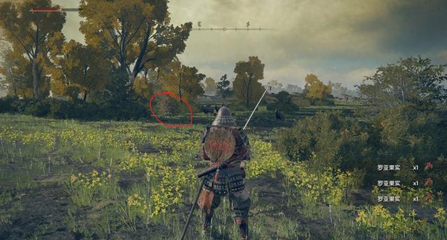 逃出老鹰林小屋攻略（艾尔登法环攻略全人物支线本体篇上）